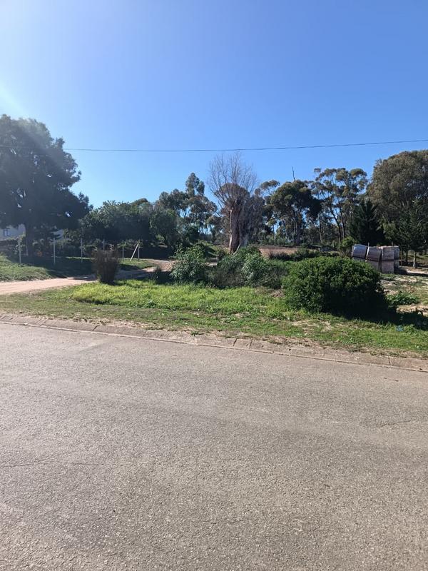0 Bedroom Property for Sale in Albertinia Western Cape